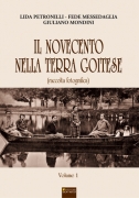 Il Novecento nella terra goitese  vol. 1