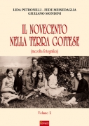 Il Novecento nella terra goitese  vol. 2