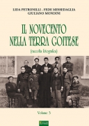 Il Novecento nella terra goitese  vol. 3